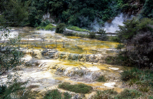 Dampende zwavelpoelen in Rotorua