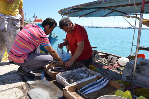 Lokale vissers in da haven van Zakynthos.