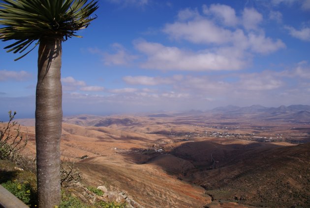 "Mirador de Morro Velosa"