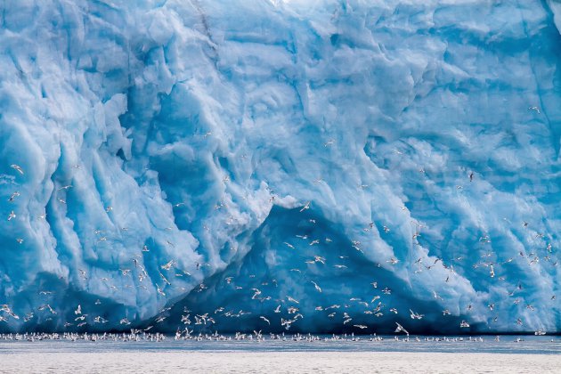 Varen rond Spitsbergen, een van Europa's laatste wildernissen.