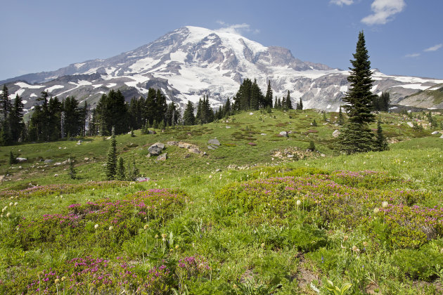 breng een bezoek aan Mount Rainier N.P.