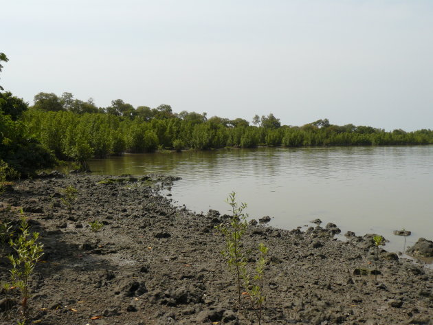 Kiang West National Park