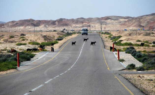 Onderweg in Oman