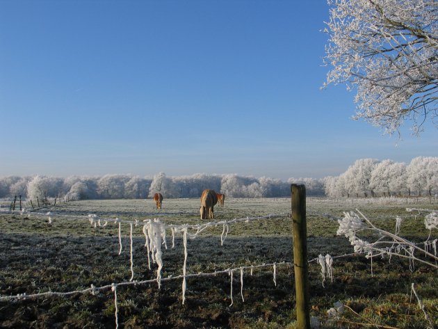 Drenthe winterland