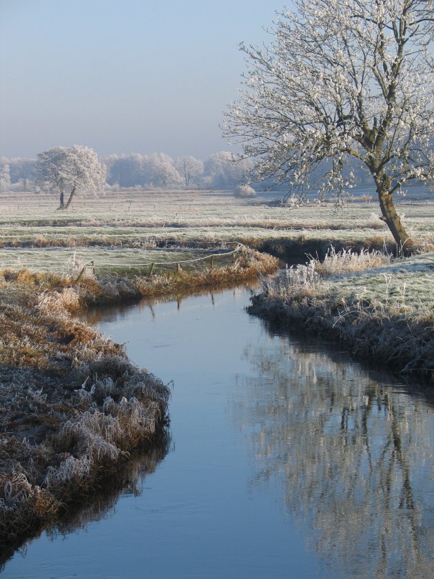 Drentsche Aa in de winter