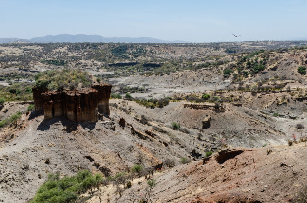 Olduvai Gorge