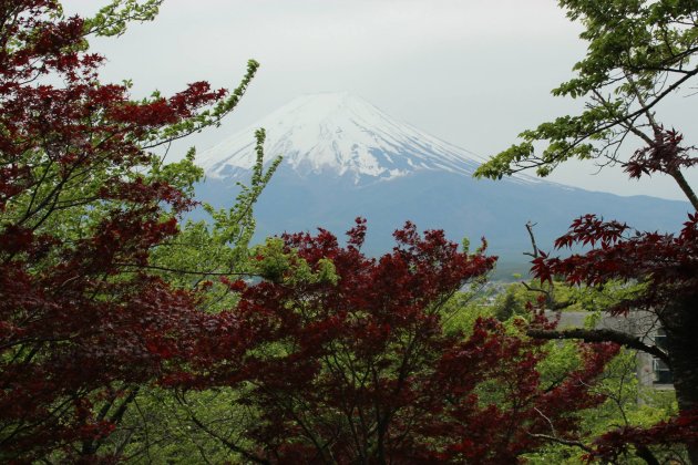 Mount Fuji