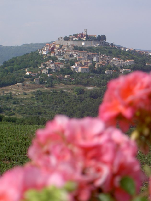 Motovun