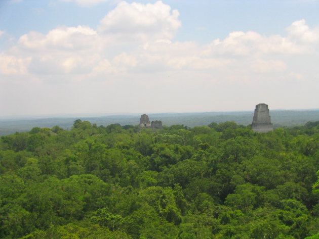 Maya ruines in de jungle