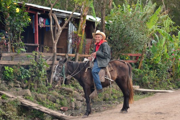 Cowboy in Nicaragua