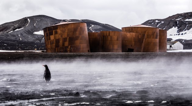 Stomend strand op Deception Island