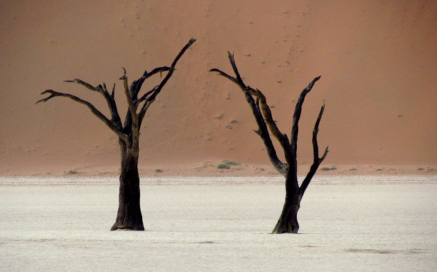 Dead Vlei