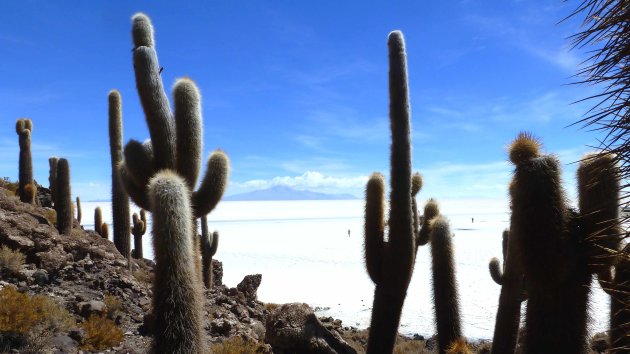 Isla Incahuasi