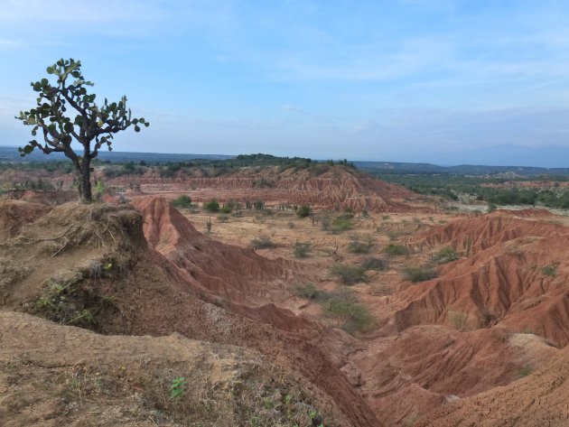 Desierto de la Tatacoa