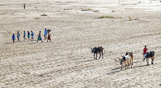 Trek in de rivier