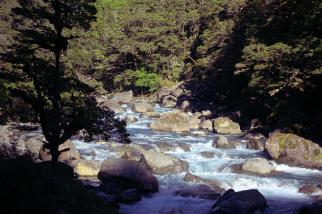 The Milford road