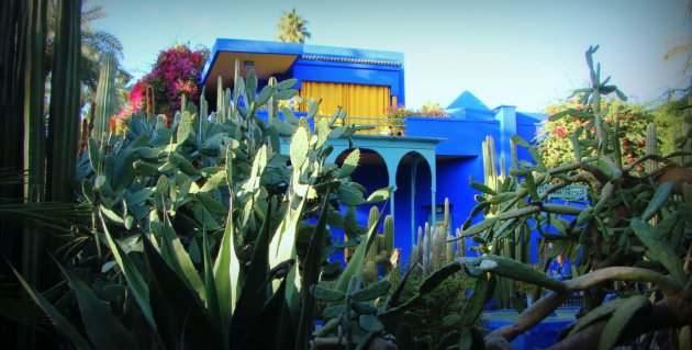 jardin Majorelle