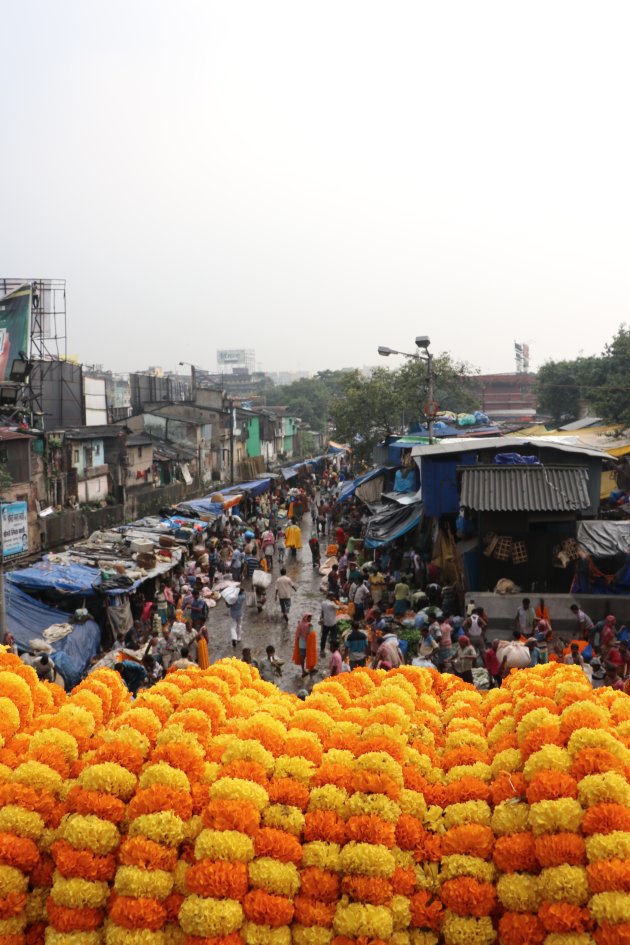 Bloemen in Kolkata