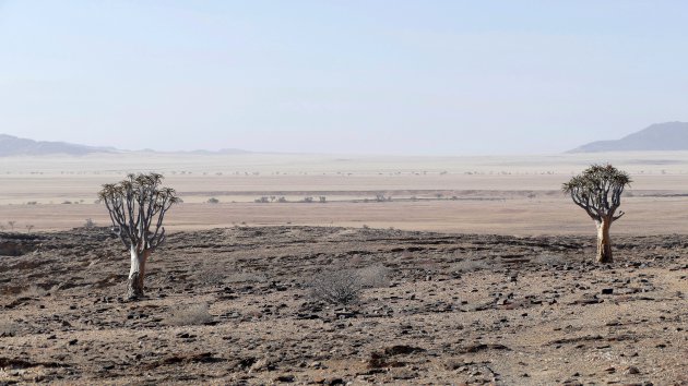 Woestijn in Namibie