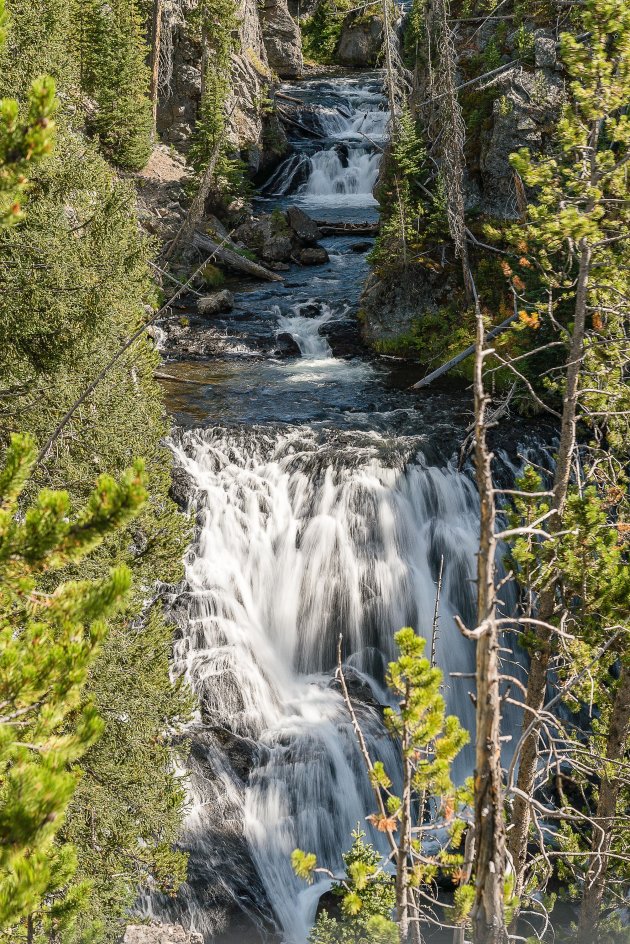 Kepler Cascades