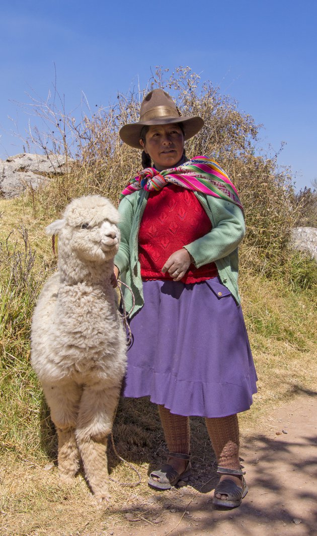 Alpaca met bazinnetje