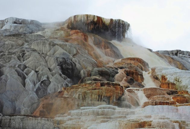 Mammoth hot springs