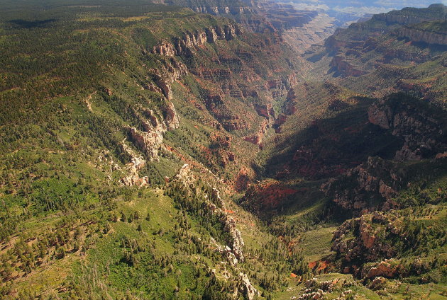 North Rim !