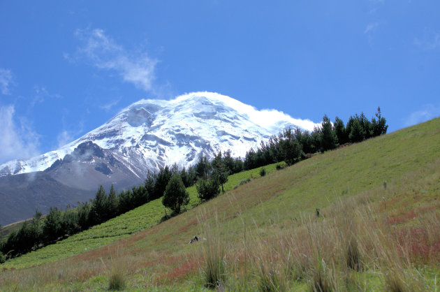 Chimborazo