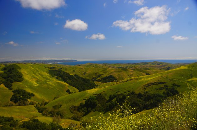 Kleurrijk landschap