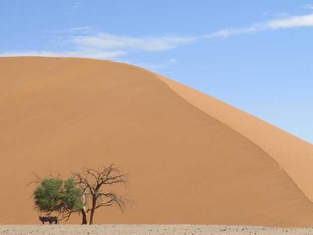 Sossusvlei, a piece of art by Mother Nature.