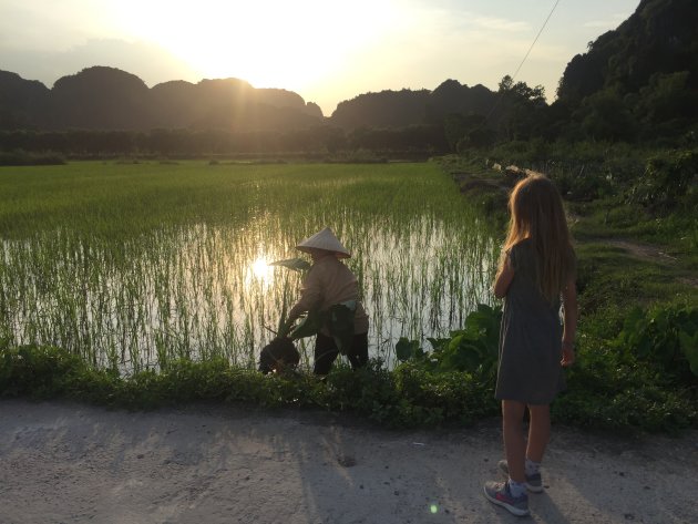 Tam Coc