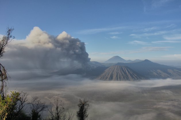 Bromo