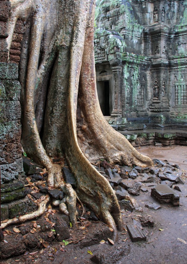 Ta Prohm