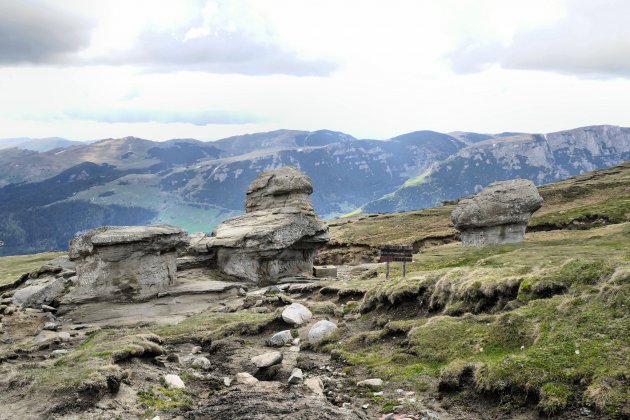 Bucegi gebergte