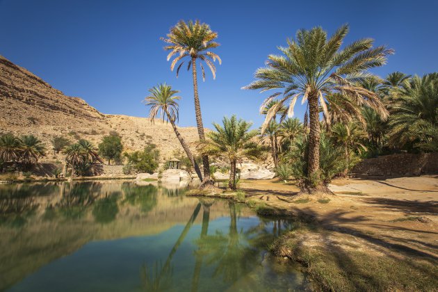 Wadi Bhani Khalid