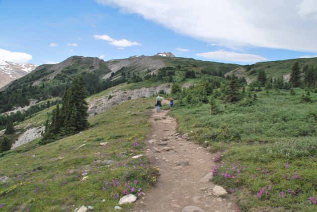 Wandelen langs de Icefield Parkway