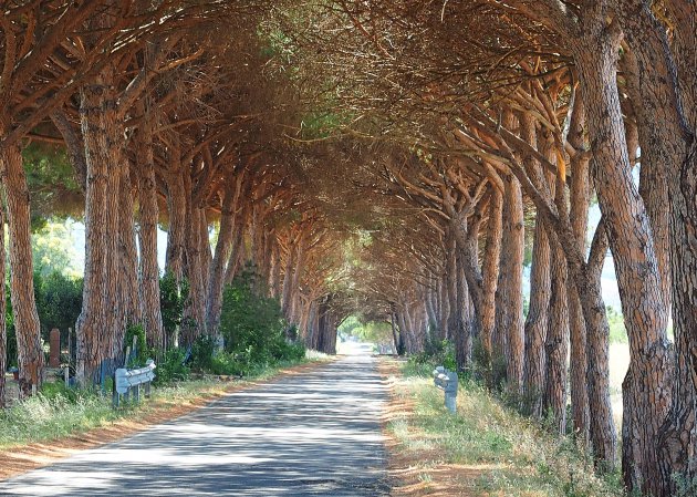 Natuurlijke tunnel