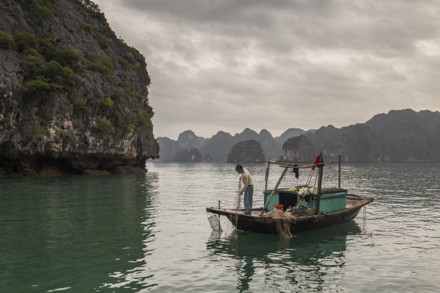 Visser in Halong Bay