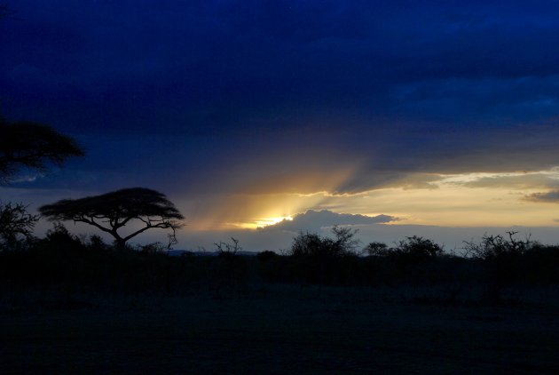 Tanzanie wildlife