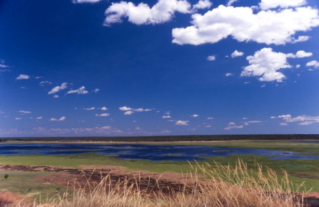 Fries landschap in Kakadu Australie