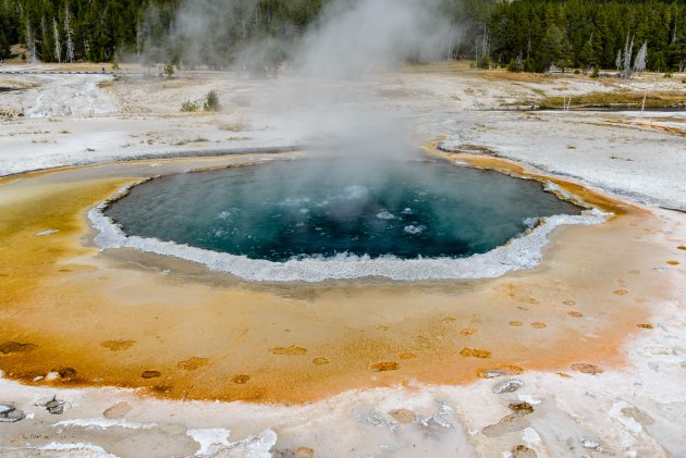 Crested Pool