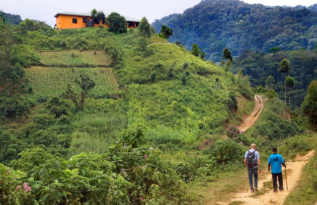 Hike rond Bwindi forest