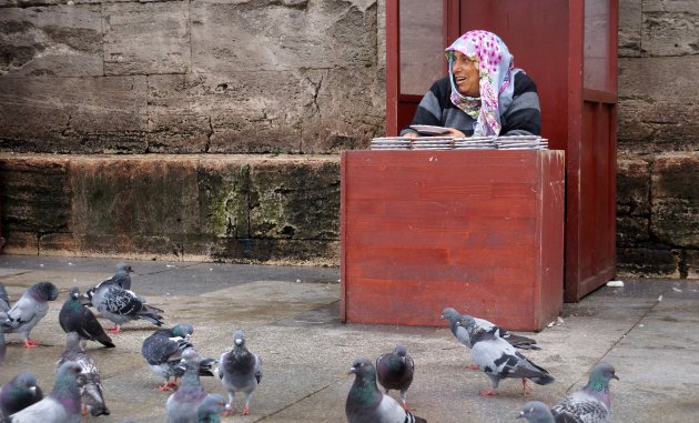 Een graantje meepikken in Istanbul