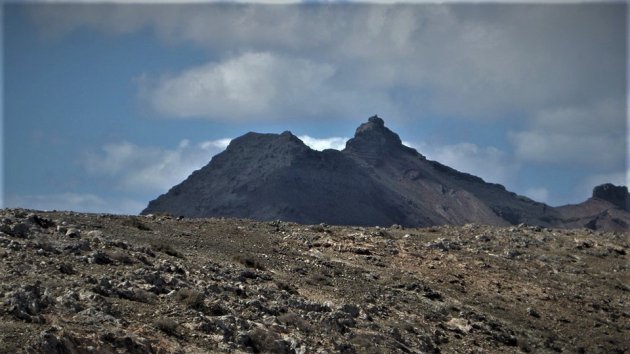 kaalheid in verlatenheid