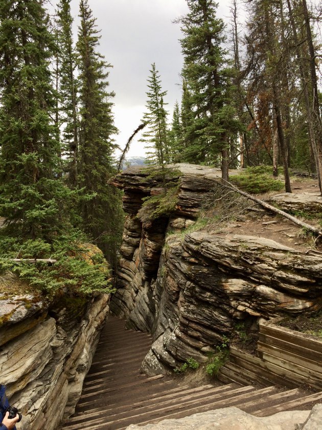 Sunwapta Falls