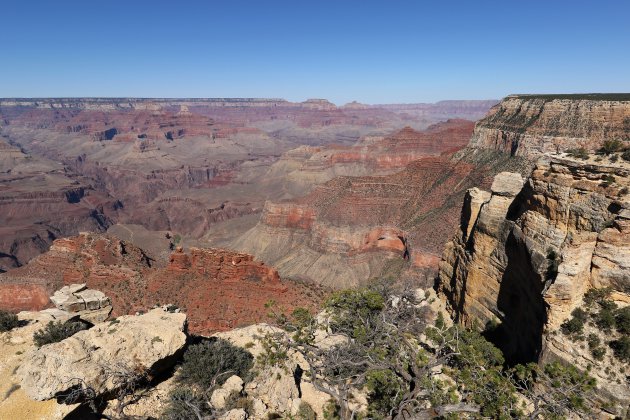 Grand Canyon View