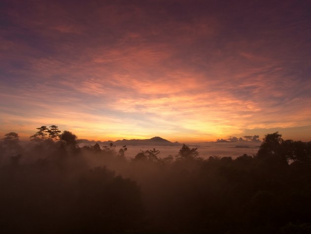 Zonsopkomst Danum Valley, Borneo, Maleisië