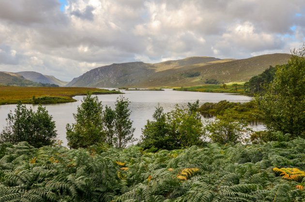 Glenveagh