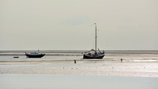 Droogvallen op het Wad