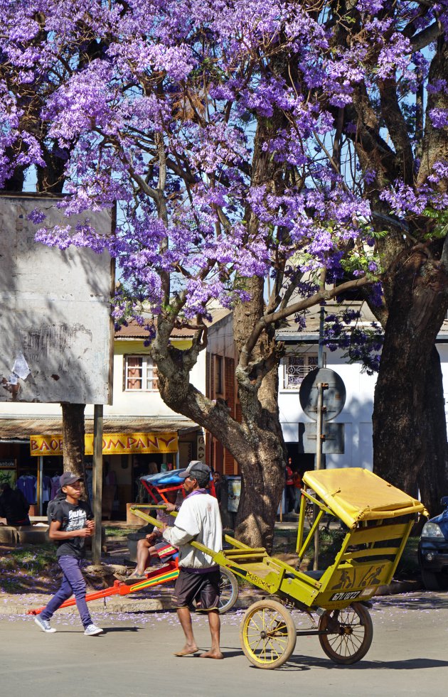 Vier de lente in Antsirabe